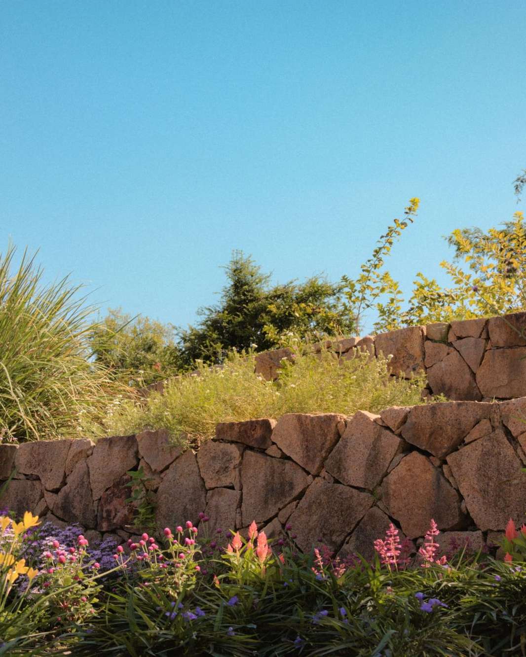 Mur en pierres sèches fraîchement monté, au soleil