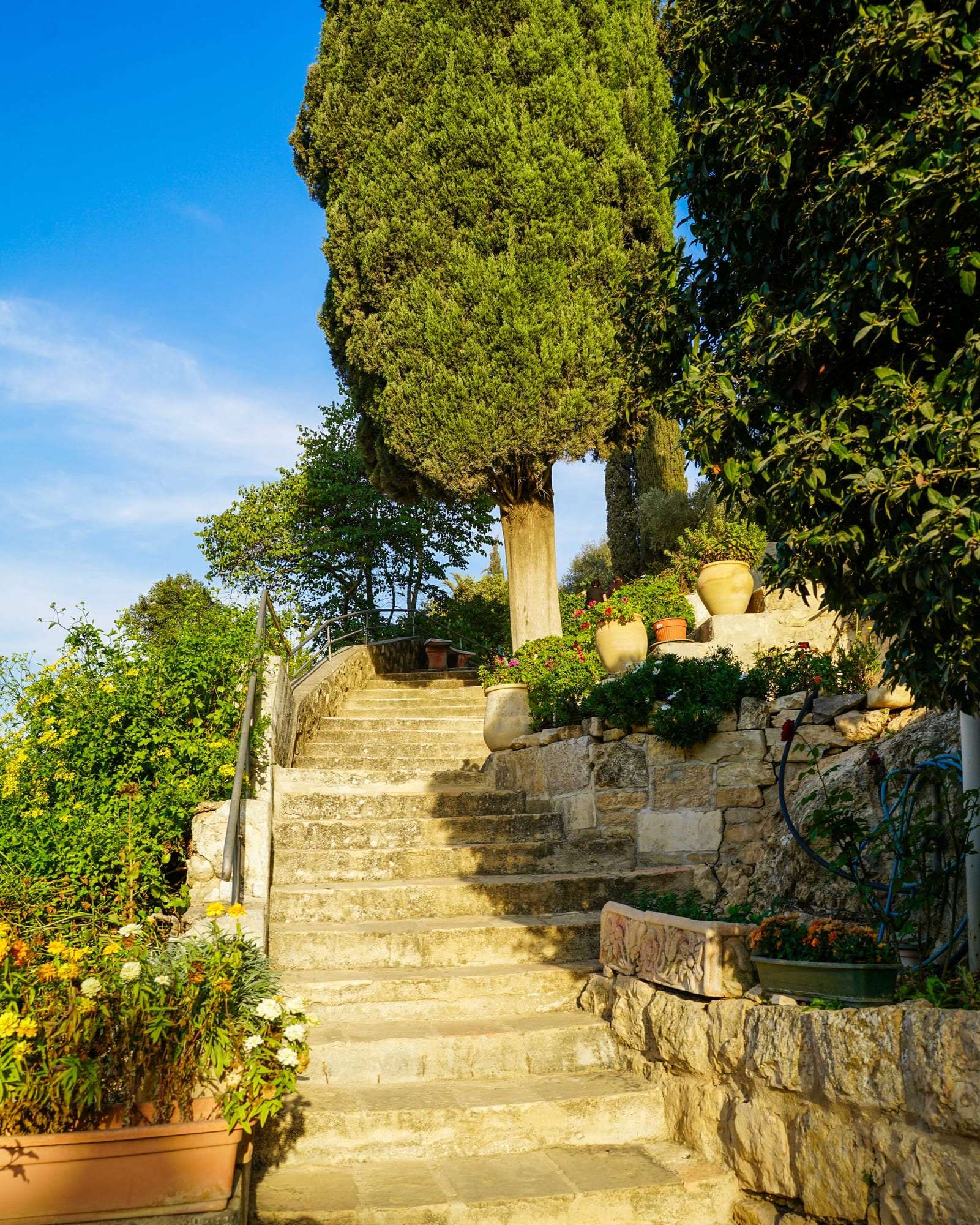 Escalier en pierre massive dans un jardin sec