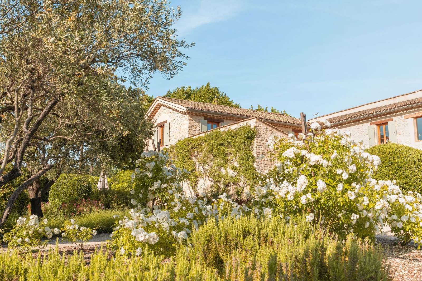 Jardin de villa sans gazon, vivaces et gravier