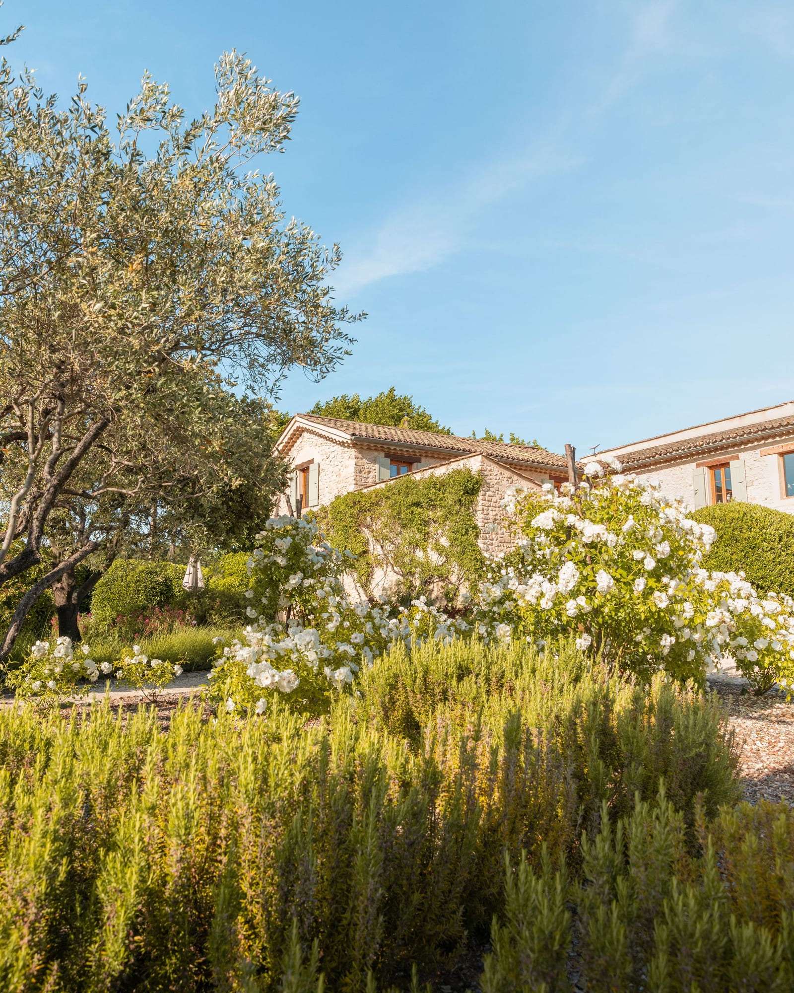 Jardin de villa sans gazon, vivaces et gravier