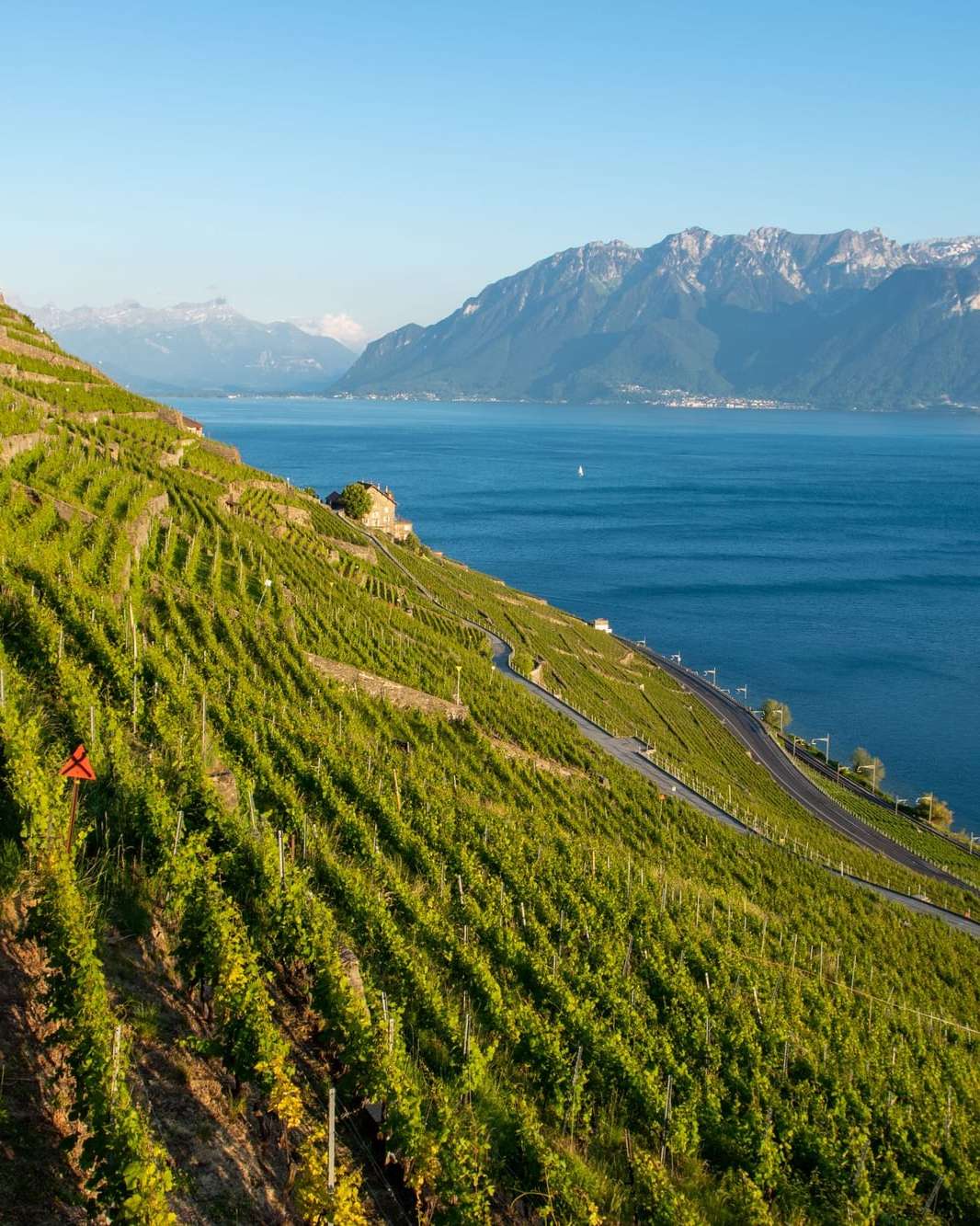 Murs de vigne en pierres sèches en été