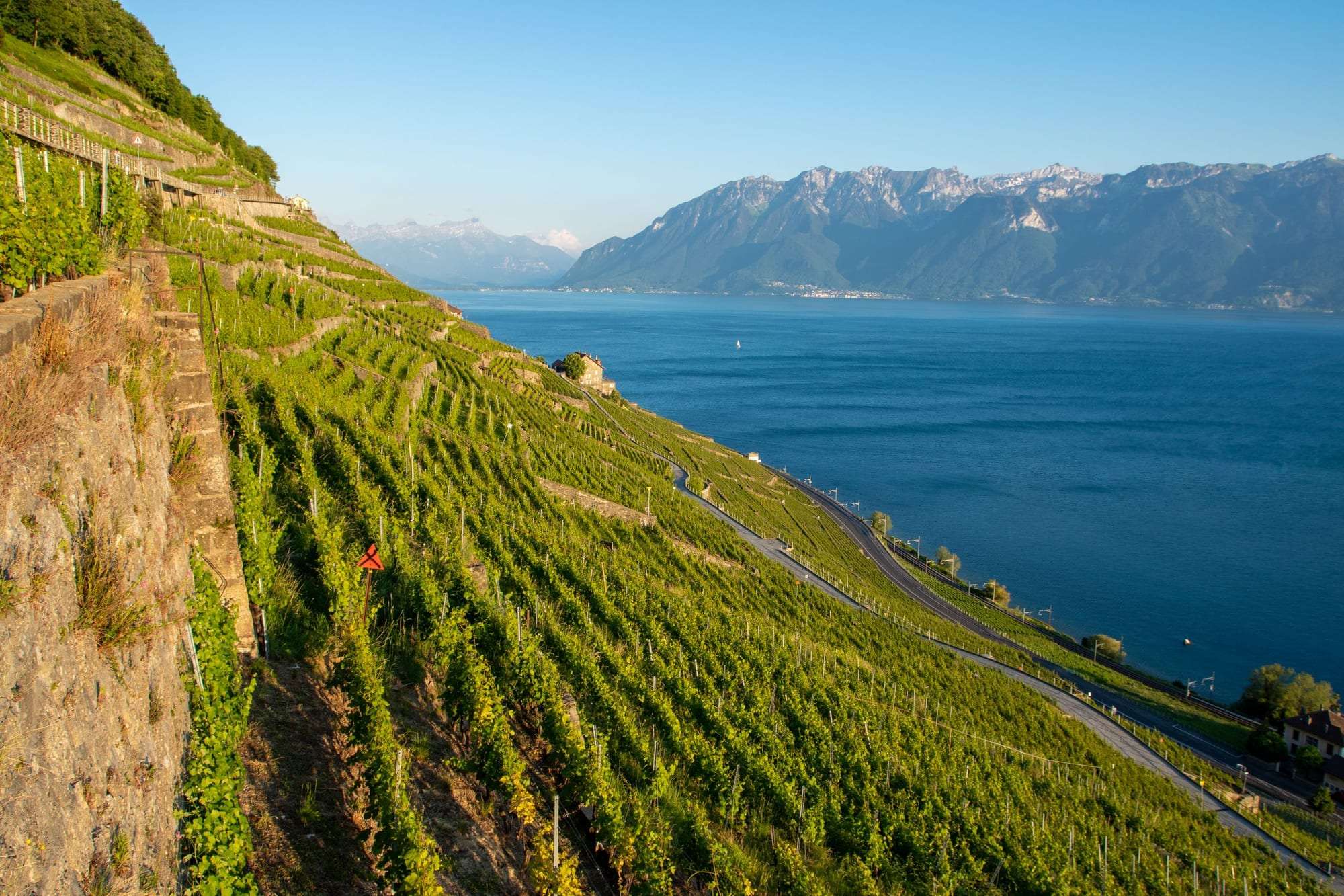 Murs de vigne en pierres sèches en été